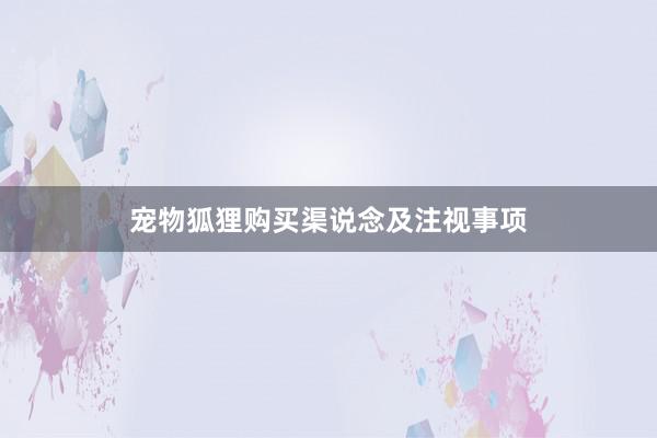 宠物狐狸购买渠说念及注视事项