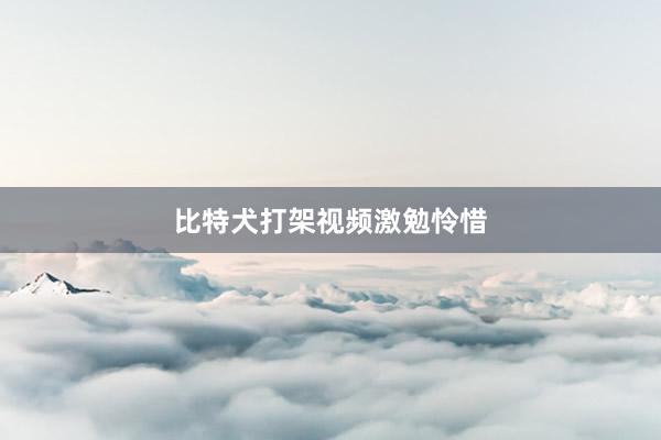 比特犬打架视频激勉怜惜